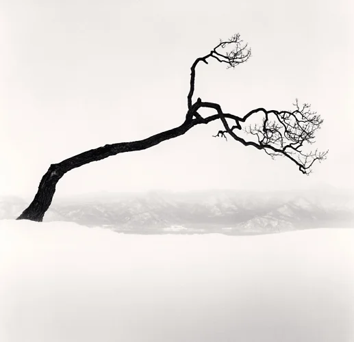 Michael Kenna — Blue Lotus Gallery